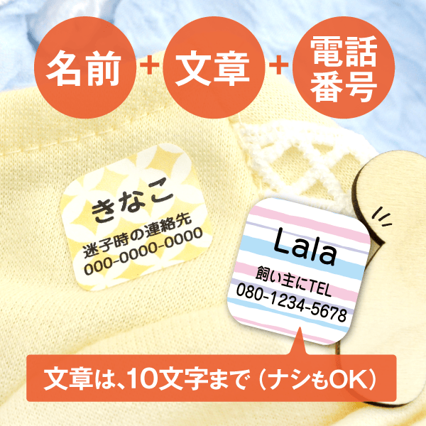 文章は、10文字まで(ナシもOK)